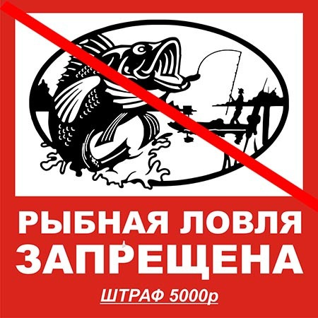 Информационная табличка: Рыбная ловля запрещена! - табличка 50х50см (металл)  #1