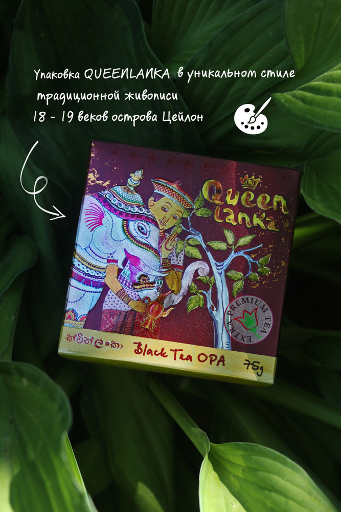 Чай Цейлонский Премиум QUEEN LANKA Черный ОРА 75г. особо крупный лист Цейлон  #1