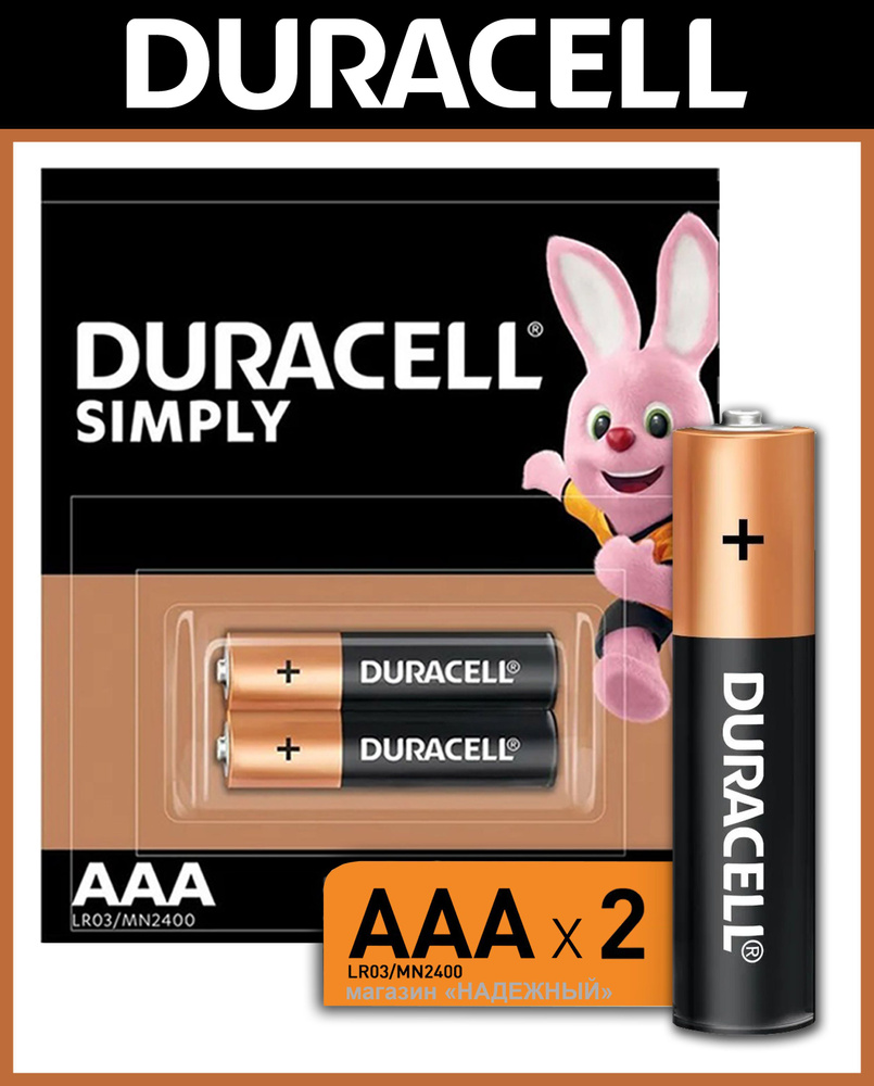 Батарейки щелочные (алкалиновые) Duracell Basic AAA / LR03 1,5V Мизинчиковые, Дюрасел ААА, 2 шт  #1
