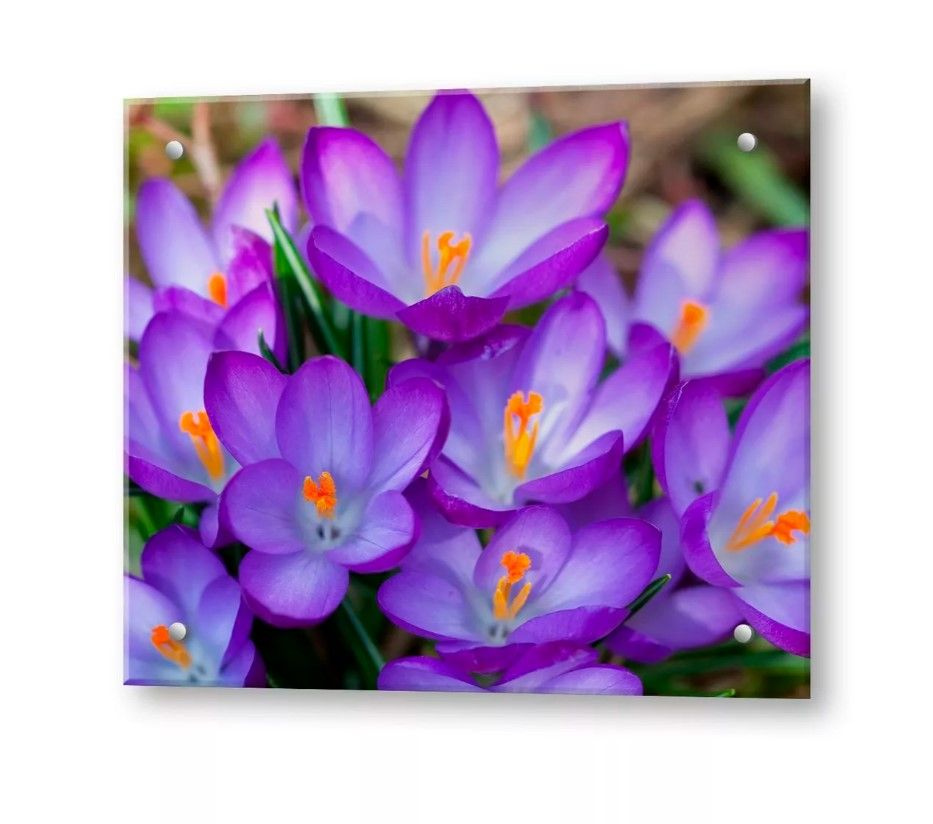 Защитное закаленное стекло для фартука на кухню. Защитный кухонный ...