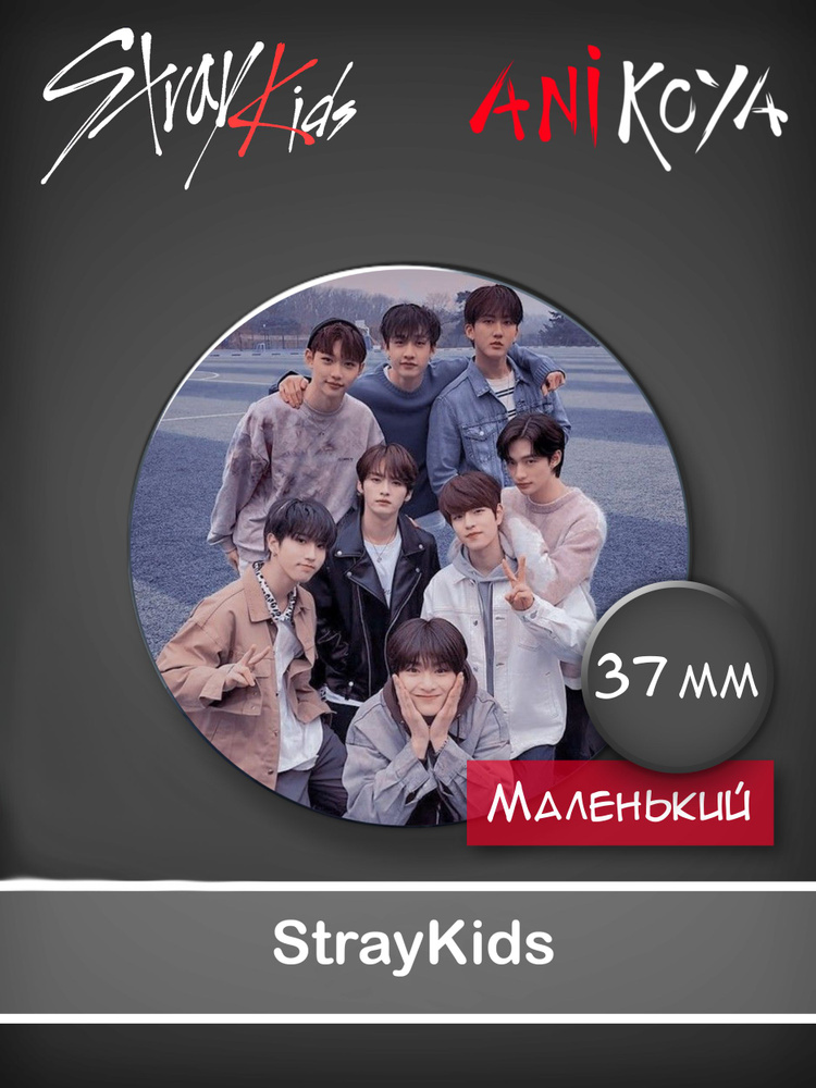 Значки к-pop Стрей Кидс / Stray Kids 37 мм AniKoya мерч #1