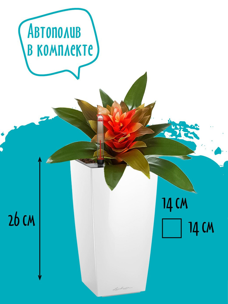 Горшок для цветов пластиковый маленький высокий Lechuza MAXI CUBI кашпо с автополивом для орхидеи, суккулентов, #1