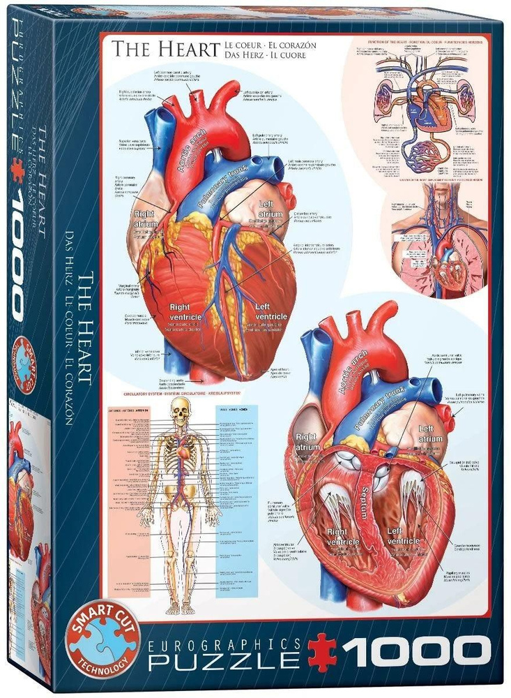 Пазл Eurographics 1000 деталей, элементов: Сердце #1