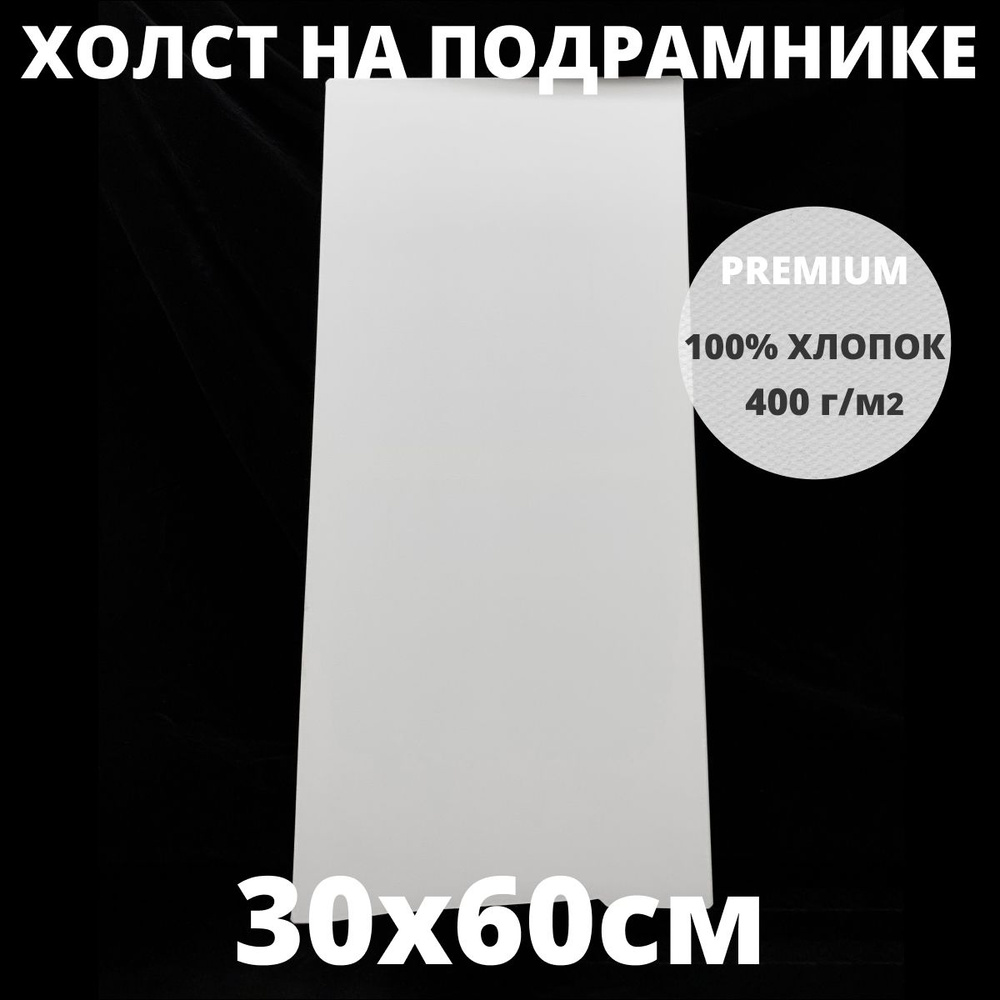 Холст на подрамнике грунтованный 30х60 см, плотность 400 г/м2 для рисования  #1