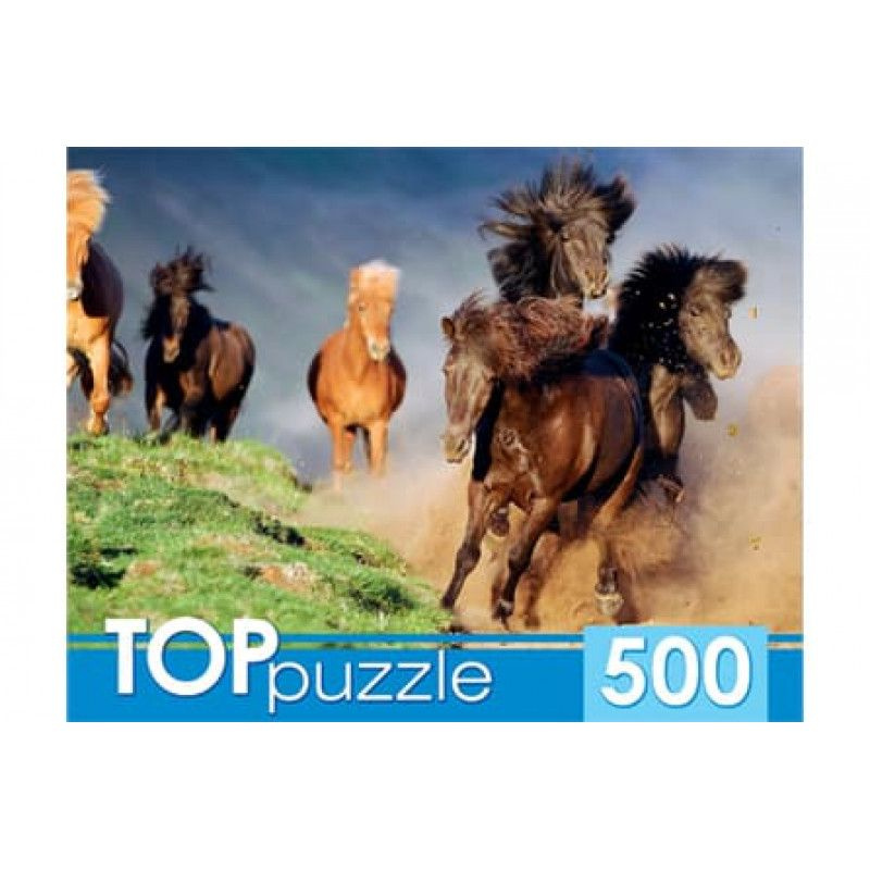 TOPpuzzle. ПАЗЛЫ 500 элементов. КБТП500-4198 БЕГУЩИЙ ТАБУН #1