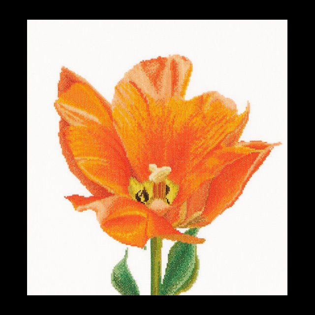 Набор для вышивания на льне THEA GOUVERNEUR "Оранжевый тюльпан", канва лён 36 ct, арт.523  #1