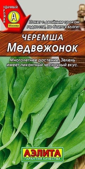 ЧЕРЕМША МЕДВЕЖОНОК. Семена. Вес 0,3 грамма. Неприхотливый многолетник высотой до 60 см.  #1