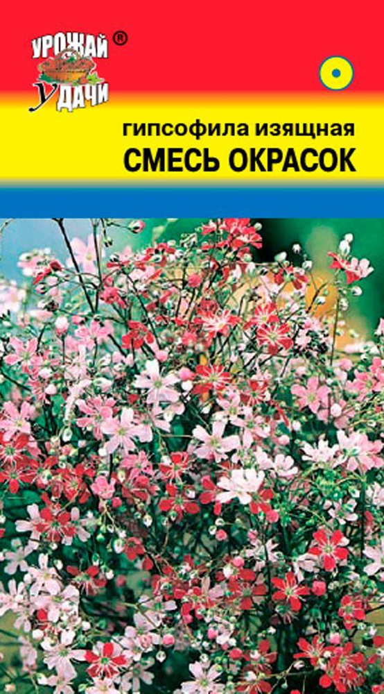 Семена Гипсофила изящная (Качим, Гипсолюбка) Смесь окрасок (Семена УРОЖАЙ УДАЧИ, 0,1г в упаковке)  #1