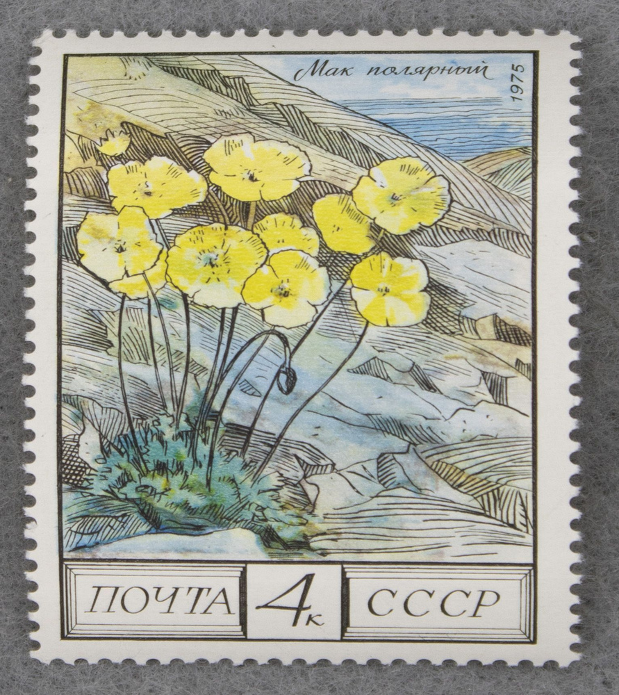 Почтовая марка "Мак полярный". Номинал 4 коп. СССР. 1975 год. (Загорский 4478)  #1