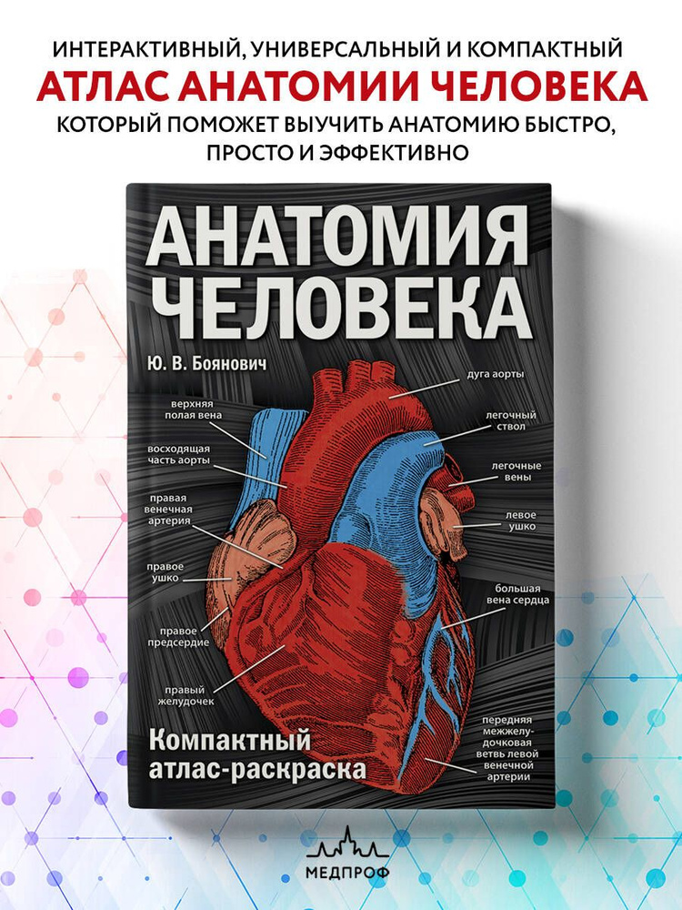 Анатомия человека: компактный атлас-раскраска | Боянович Юрий Владимирович  #1