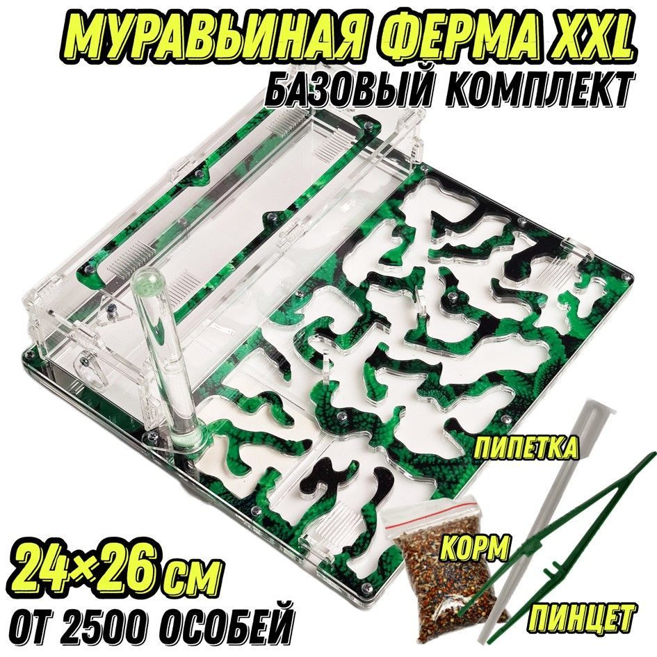 Большая муравьиная ферма "Мята" XXL 26*24см Базовый комплект  #1