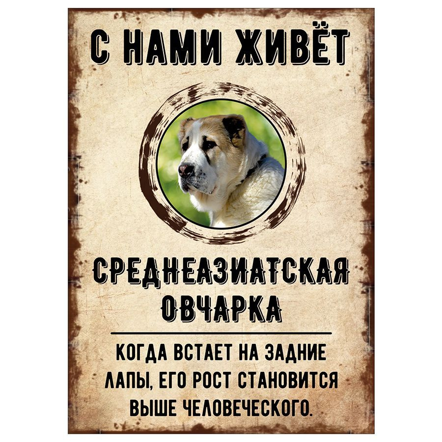 Табличка, декоративная, DANGER DOG, С нами живет Среднеазиатская овчарка, 18см х 25см  #1