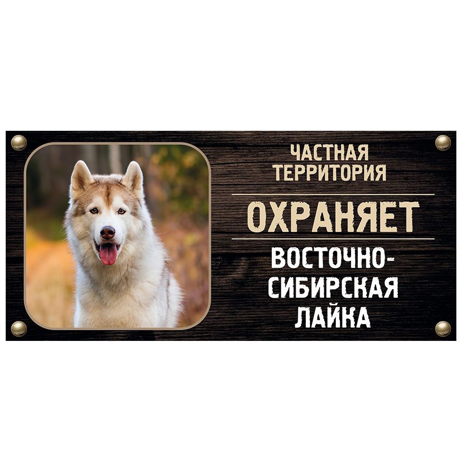 Табличка, Злая собака, Территорию охраняет Территорию охраняет Восточносибирская лайка, на металлической #1