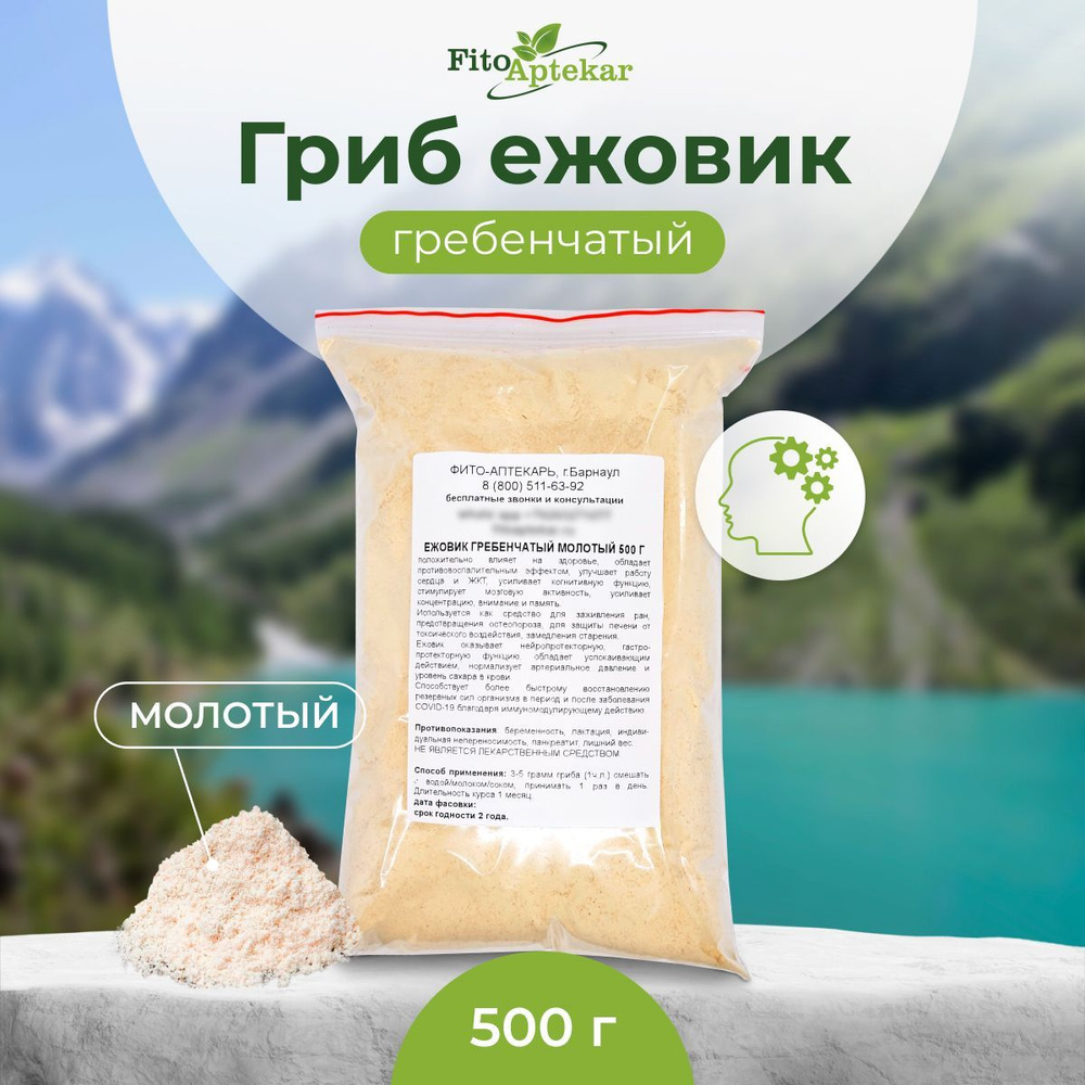 Фито-Аптекарь Грибы сушеные Ежовик гребенчатый 500г. 1шт.  #1