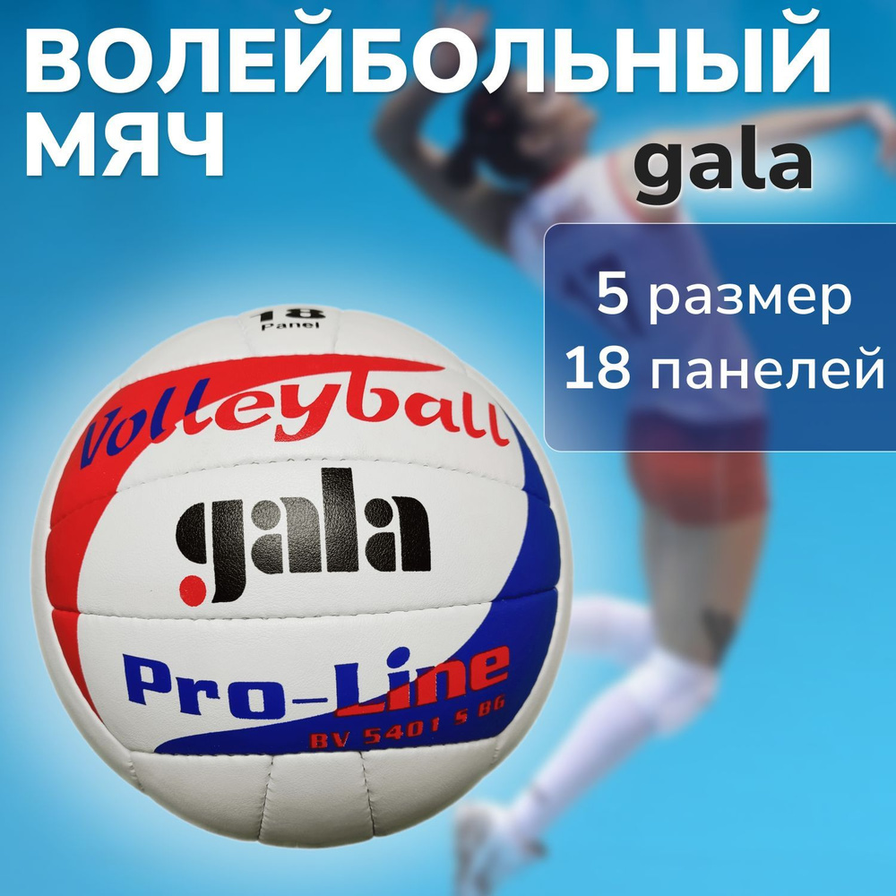 Мяч волейбольный gala #1