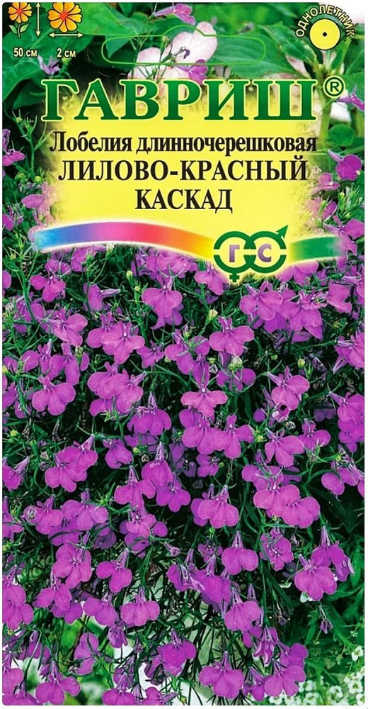 Лобелия ампельная Лилово-красный каскад, 1 пакет, семена 0,01 гр, Гавриш  #1