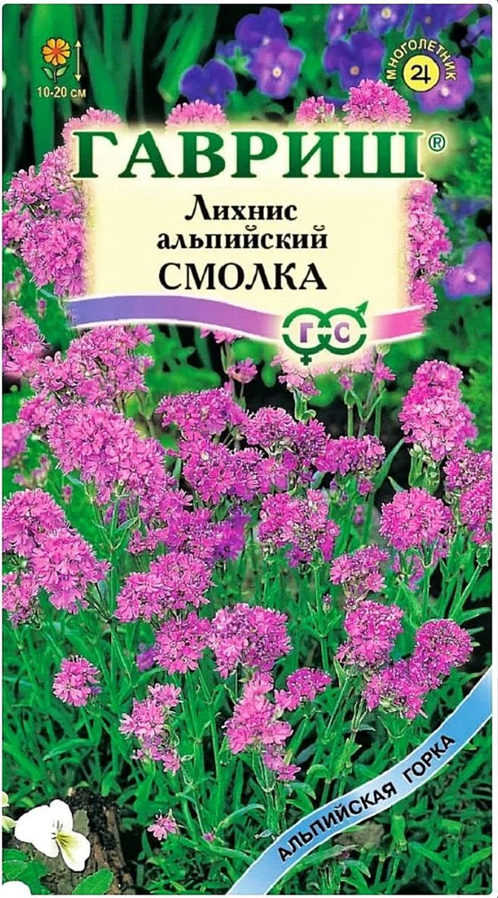 Лихнис альпийский Смолка, 1 пакет, семена 0,05 гр, Гавриш #1