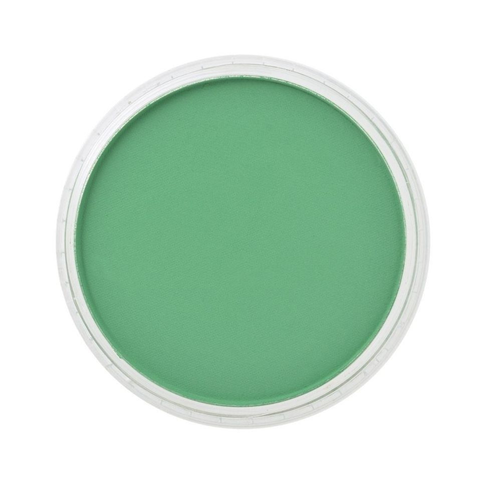 Пастель сухая "PanPastel" 640.5 Permanent Green (Зеленый прочный) #1
