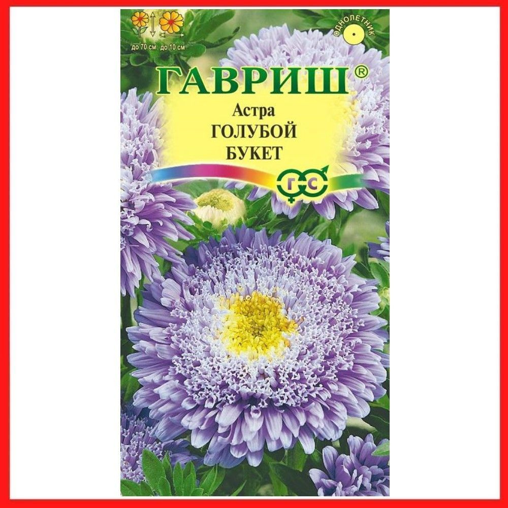 Семена Астра "Голубой Букет" 0,3 гр, однолетние цветы для дачи, сада и огорода, клумбы, в открытый грунт, #1