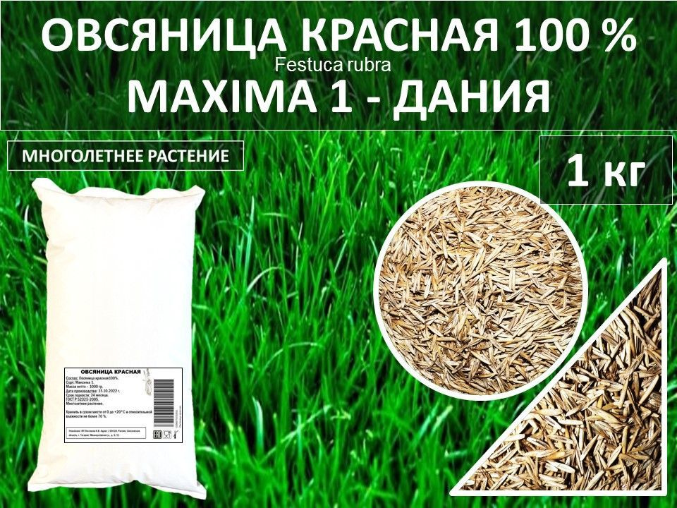 Овсяница, Овсянница Гагарин Агро Газон 100 % Овсяница красная MAXIMA ...