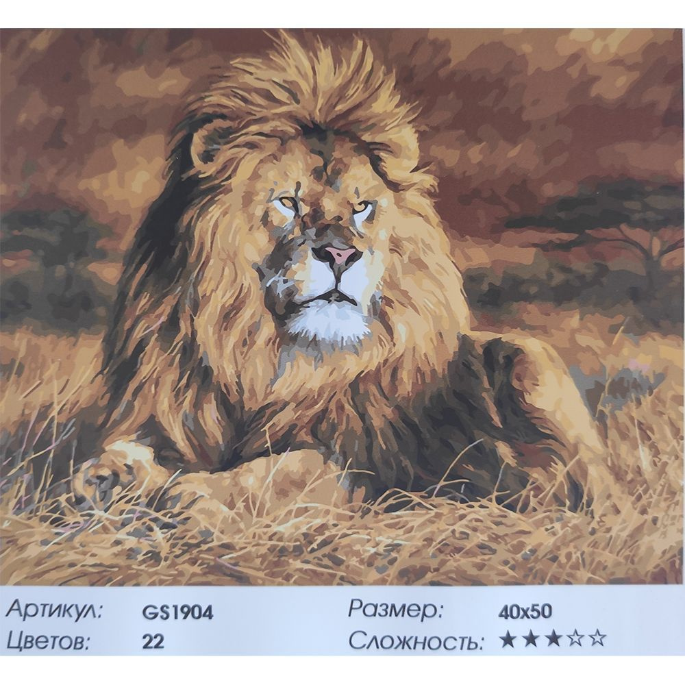 Картина по номерам на холсте Paintboy "Африканский лев" 40х50 см, подарки на 8 марта женщине  #1