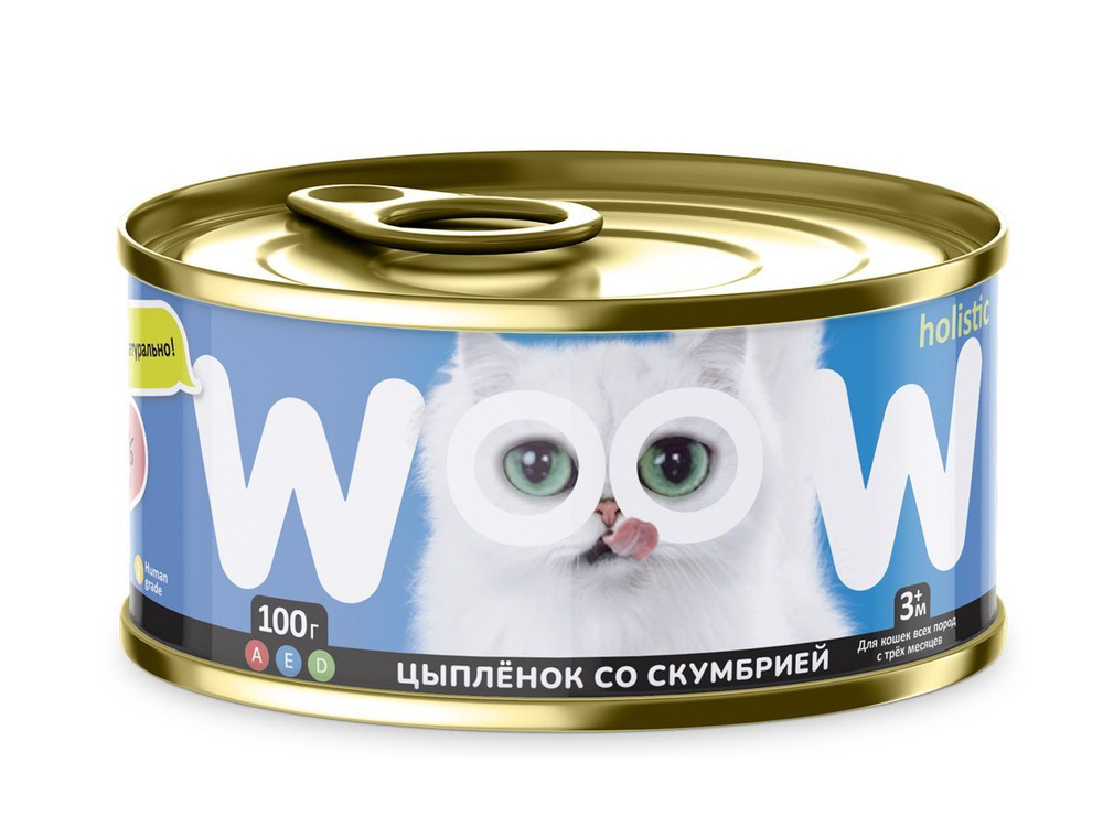 Корм для кошек WOOW филе в желе цыплёнок со скумбрией 100гр  #1