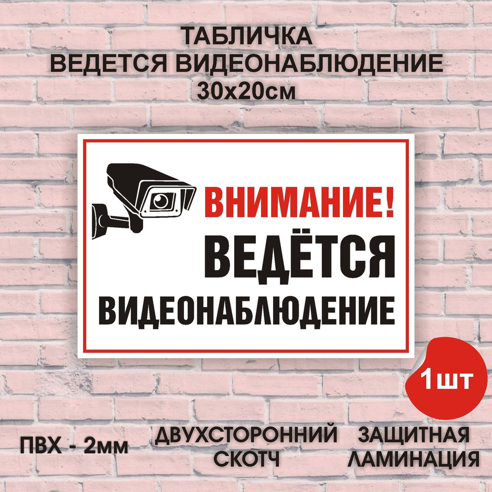 Табличка "Ведется видеонаблюдение" (30х20см) #1