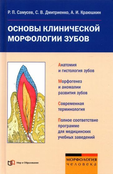 Самусев, Краюшкин - Основы клинической морфологии зубов. Учебное пособие | Дмитриенко Сергей Владимирович, #1