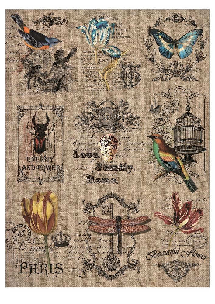 Тонкая рисовая бумага А4 для декупажа, Craft Premier, "Натурализм" цветы бабочка птицы стрекоза  #1