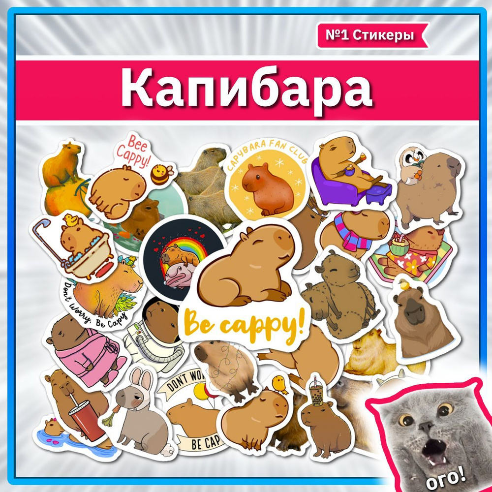 Наклейки Капибара стикеры с плюшевой игрушкой Capybara #1