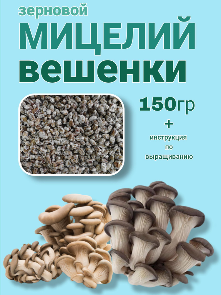 мицелий вешенки зерновой 150гр #1