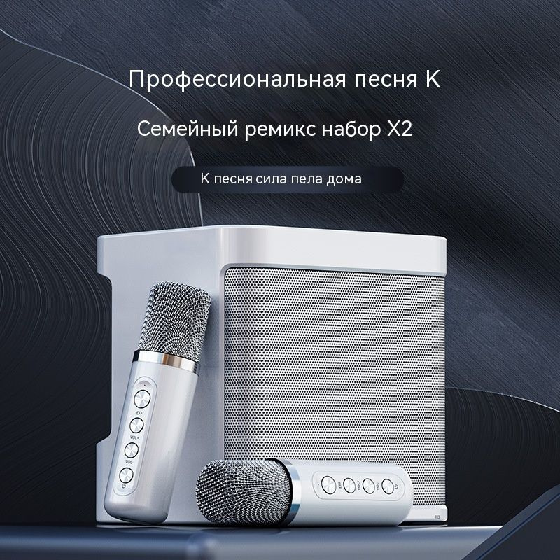 YS203 karaoke audio, караоке-аудио, беспроводной Bluetooth, два микрофона, микрофон-динамик - все в одном #1