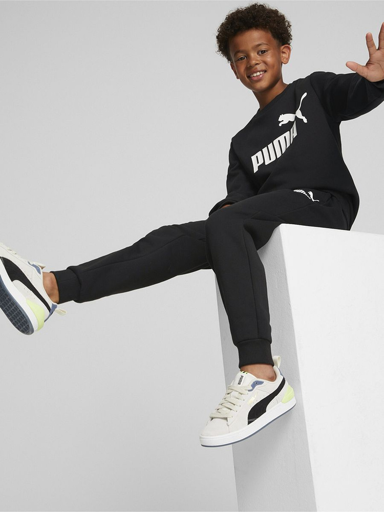 Костюм спортивный PUMA No.1 Logo Sweat Suit #1