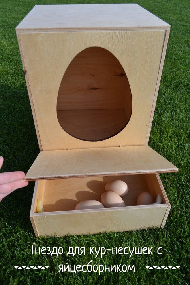 Гнездо для кур-несушек с яйцесборником (С) #1
