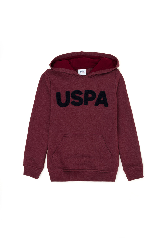 Худи U.S. POLO ASSN. #1