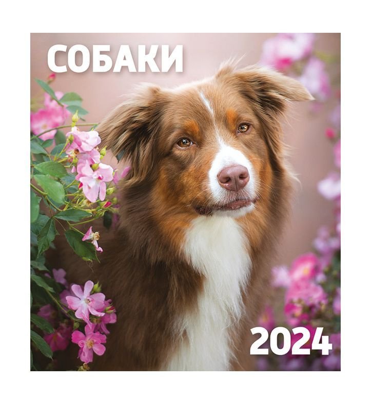 Перекидной календарь 2024 24х24. Собаки #1