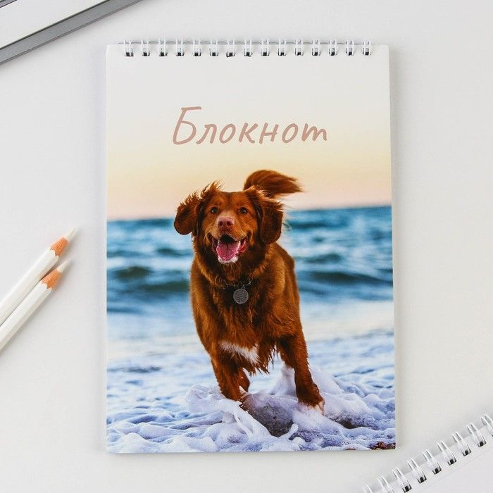 ArtFox Блокнот #1