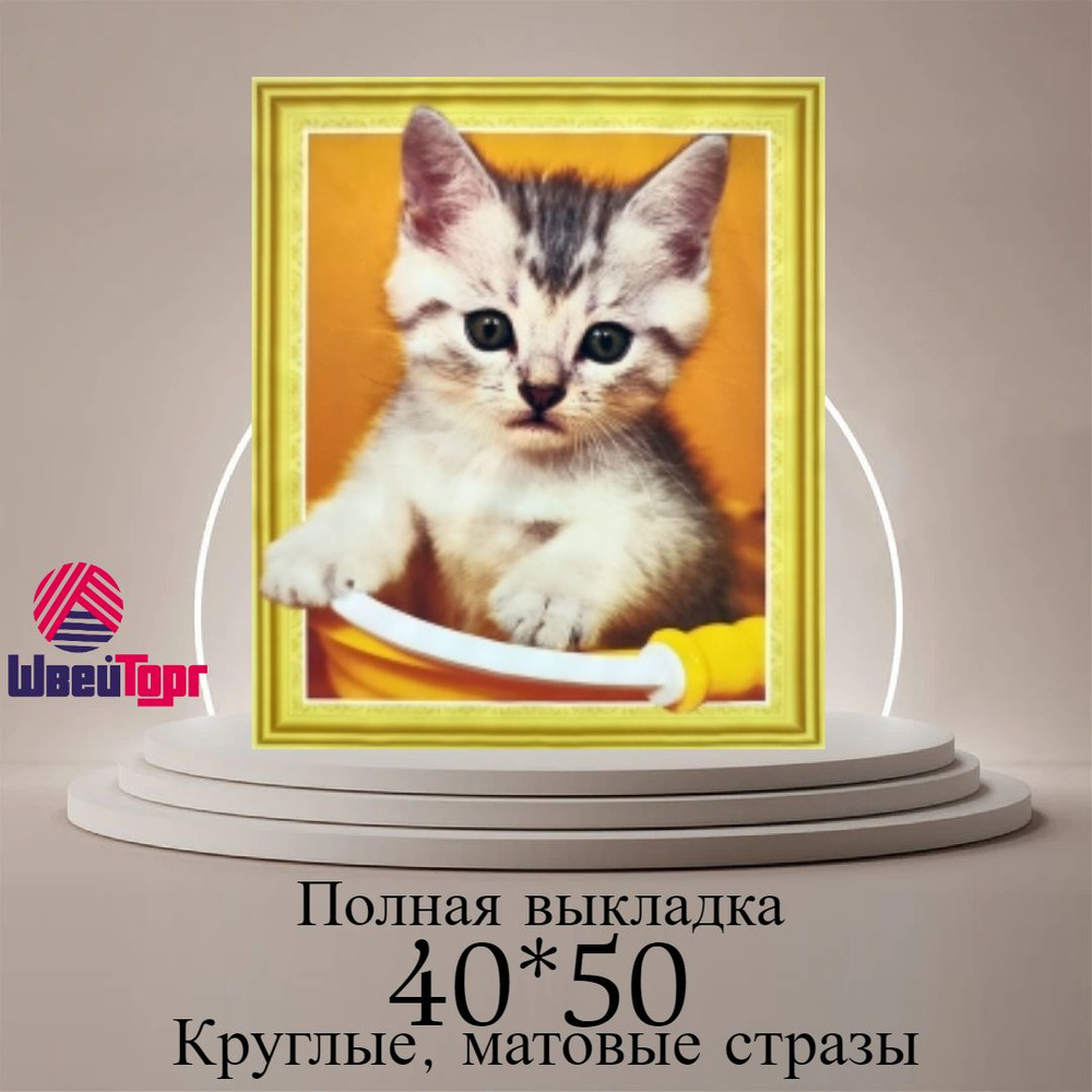 Алмазная мозаика 40*50 см в технике 5D 0003 #1