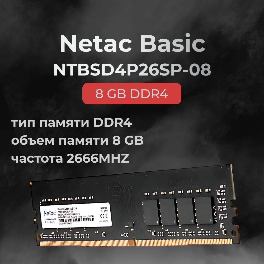 Netac Оперативная память DDR4 Basic 8GB 2666MHz CL19 (19-19-19-43) 1x8 ГБ (NTBSD4P26SP-08)  #1