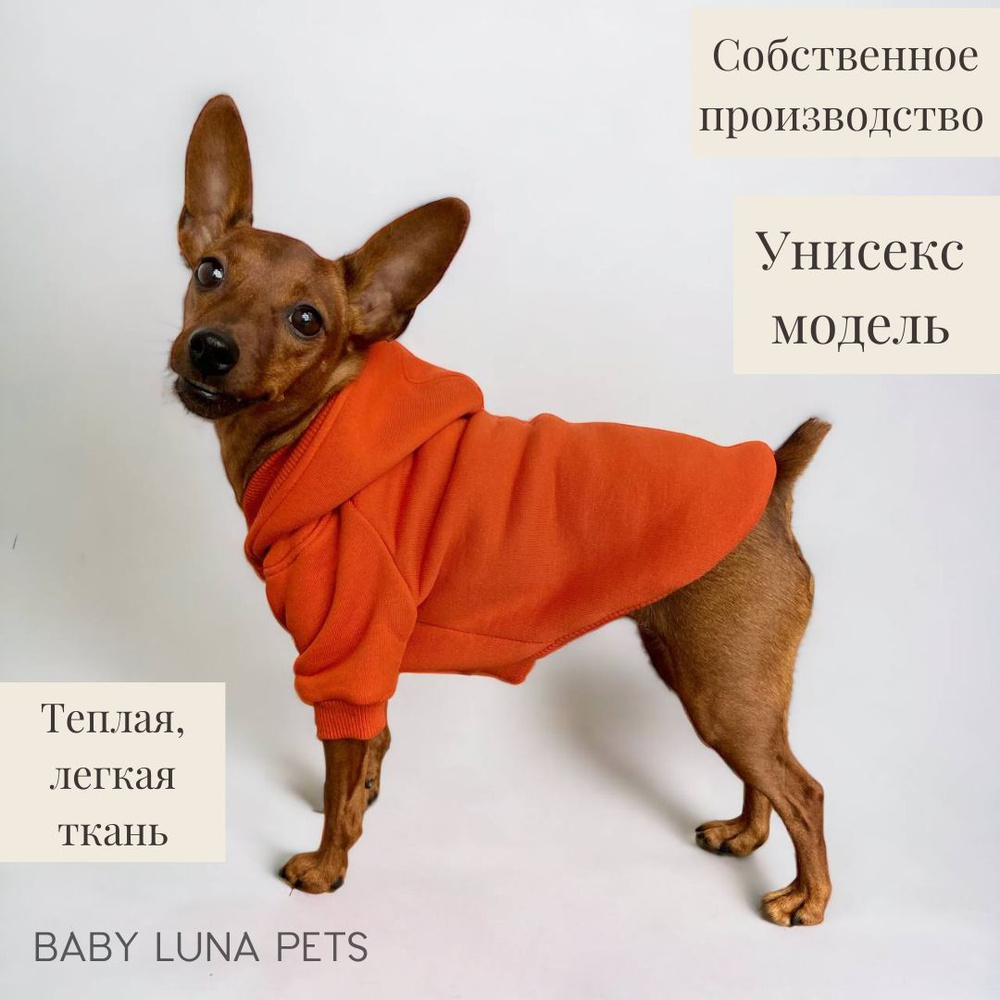 Худи для собак и кошек мелких и средних пород Baby Luna Pets #1