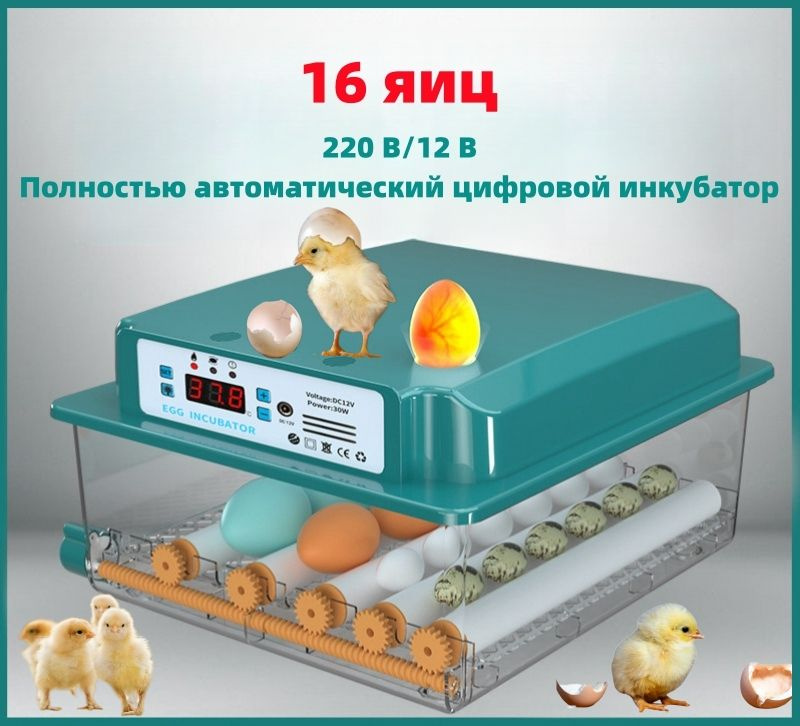 Полностью автоматический инкубатор на 16 яиц, 220 В/12 В, цифровой ...