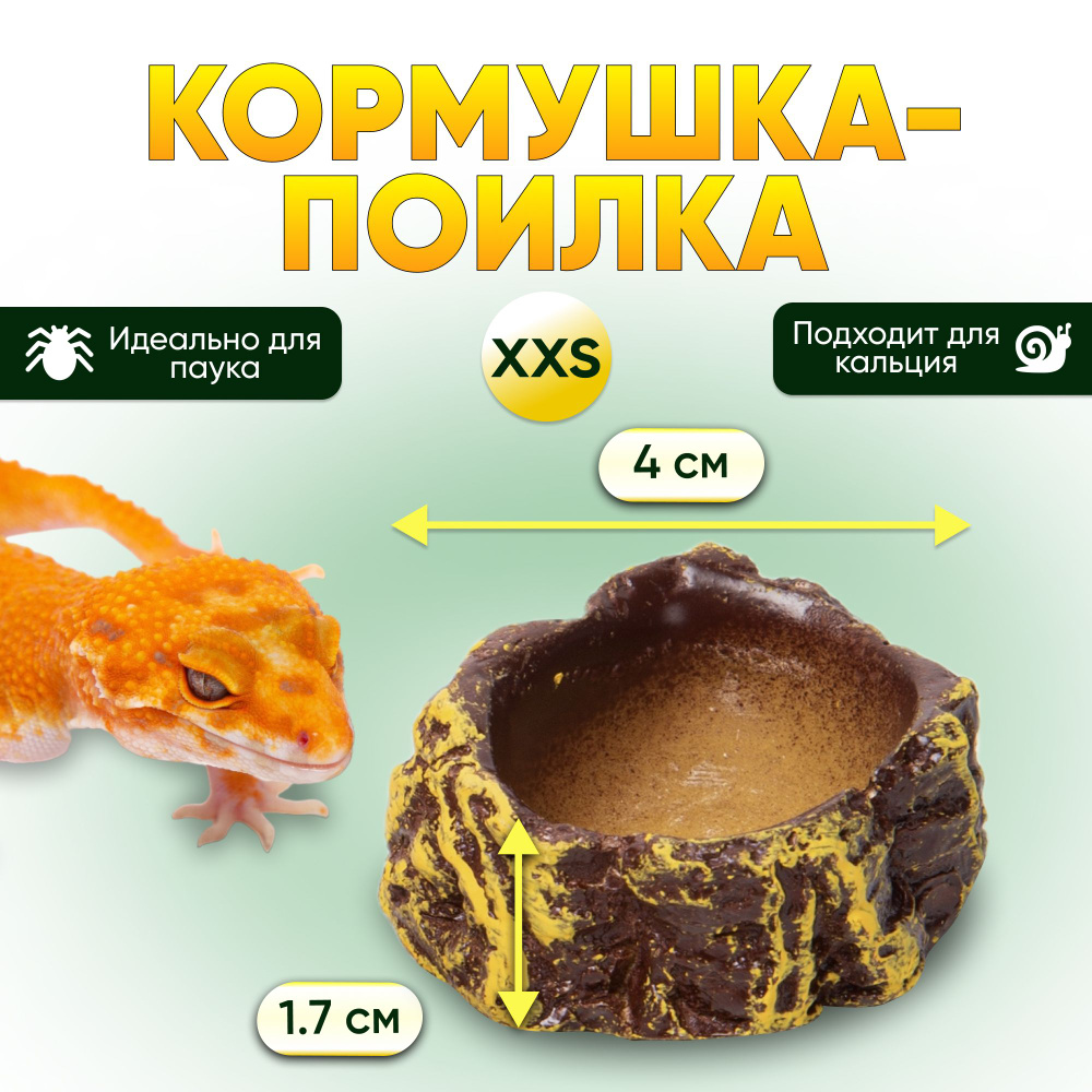 Кормушка-поилка для мелких видов рептилий и насекомых CUTE REPTILE  #1