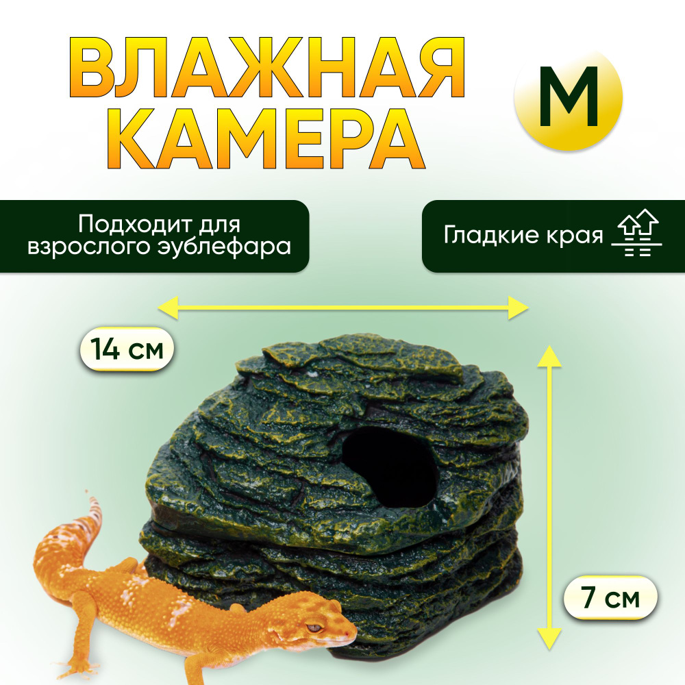 Влажная камера для рептилий, укрытия CUTE REPTILE #1