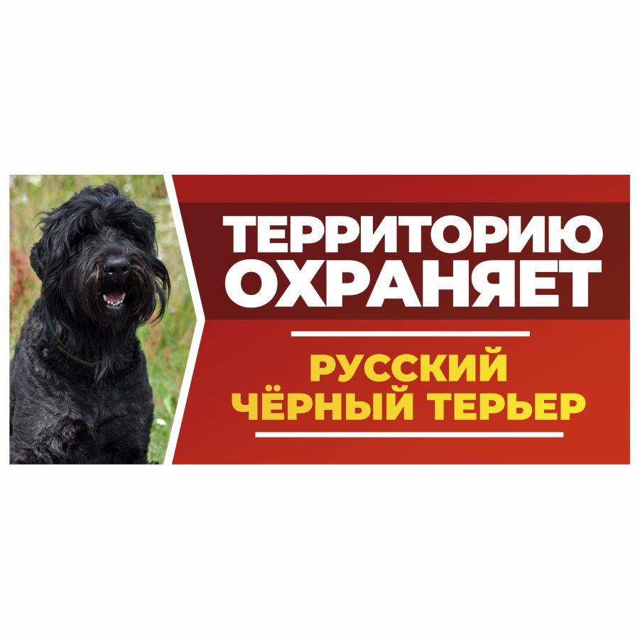 Табличка, DANGER DOG, Русский черный терьер, на забор, 30см х 14см  #1