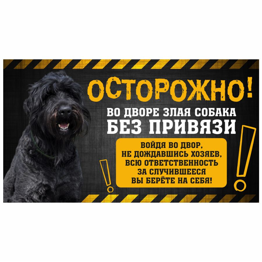 Табличка, с юмором, DANGER DOG, Осторожно! Во дворе собака без привязи, Русский черный терьер, 25x14 #1