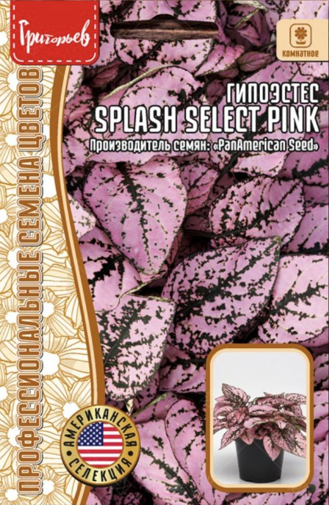 Гипоэстес Splash Select Pink, 1 пакет, семена 4 шт, ЧК, многолетнее комнатное  #1