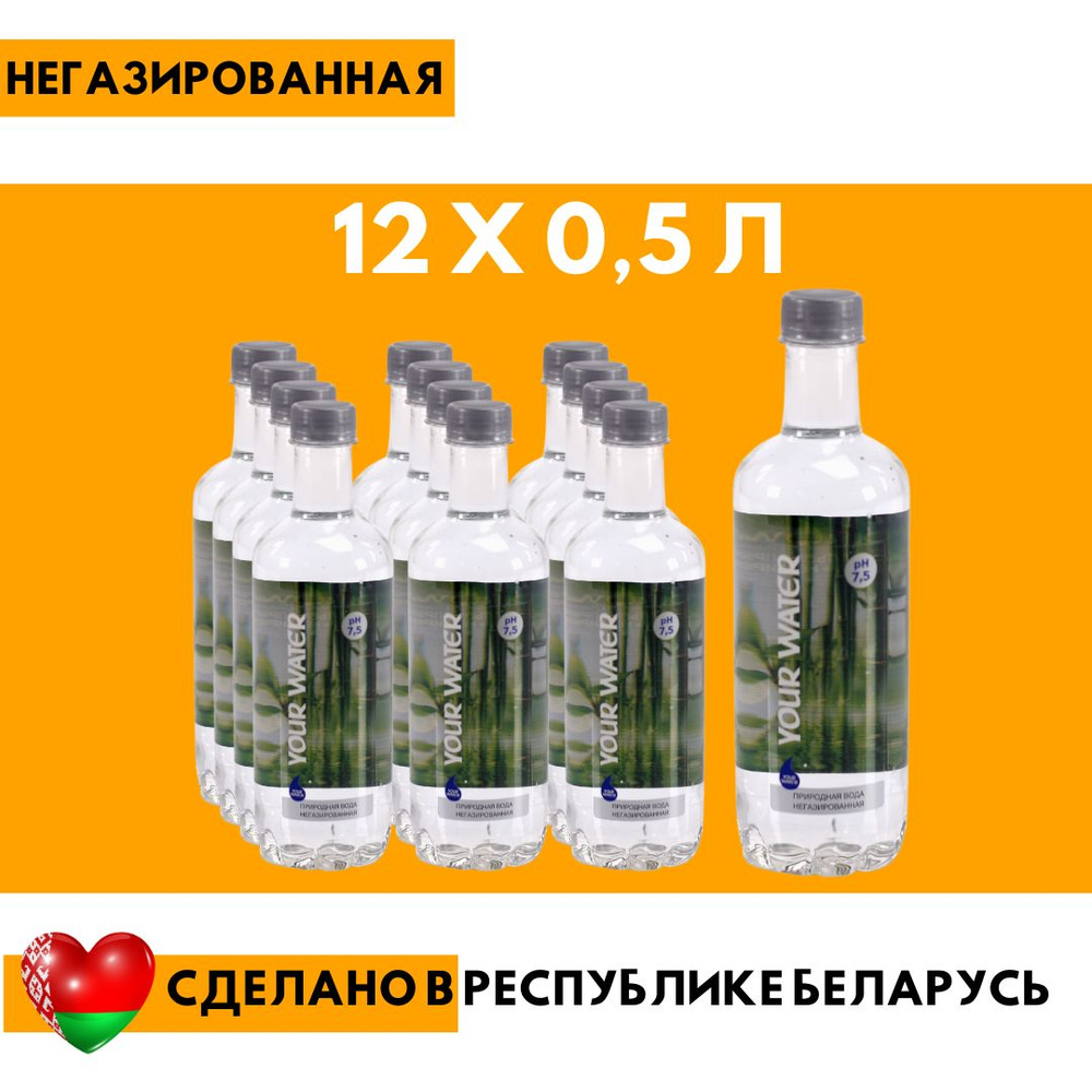 ДАРИДА DARIDA Вода Минеральная Негазированная 500мл. 12шт #1