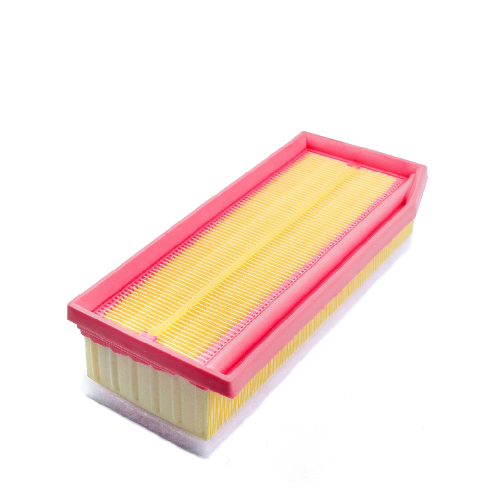 Фильтр воздушный ERIK GUSCHER на Рено Дастер, Аркана, Логан, Сандеро ...