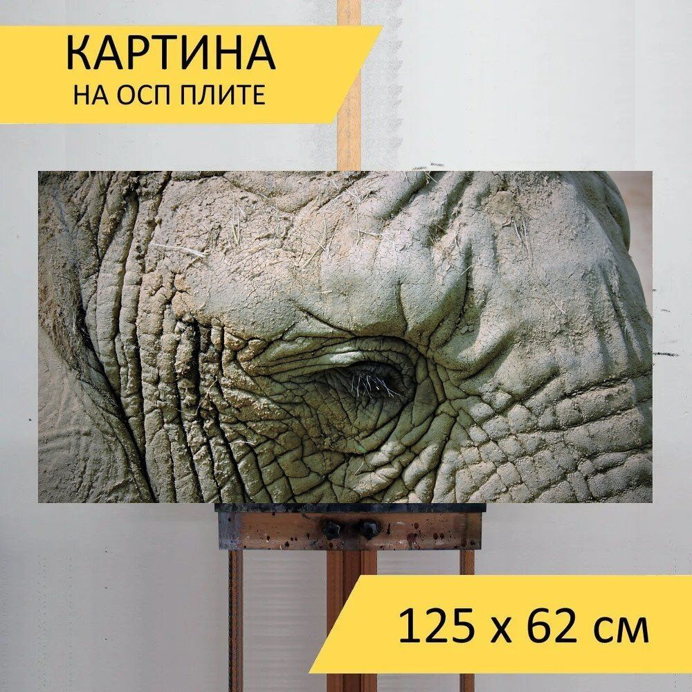 LotsPrints Картина "Слон, глаза, глаз 36", 125  х 62 см #1