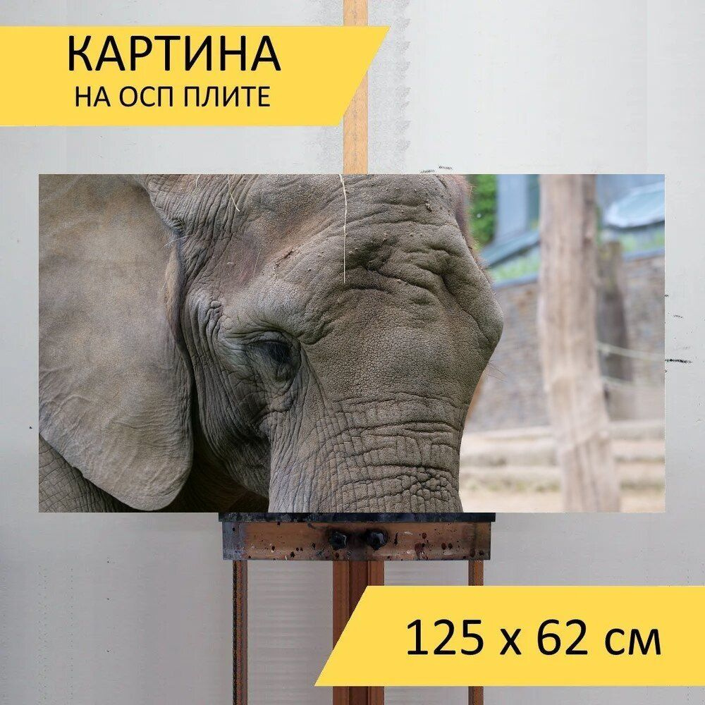 LotsPrints Картина "Слон, зоопарк, животное 65", 125  х 62 см #1